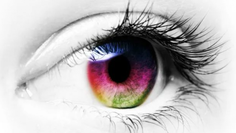 医美优质文章推荐: 眼睑与眼睑的组织结构
