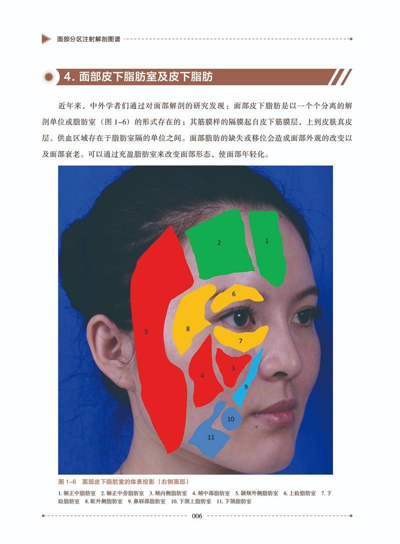 《面部分区注射解剖图谱》